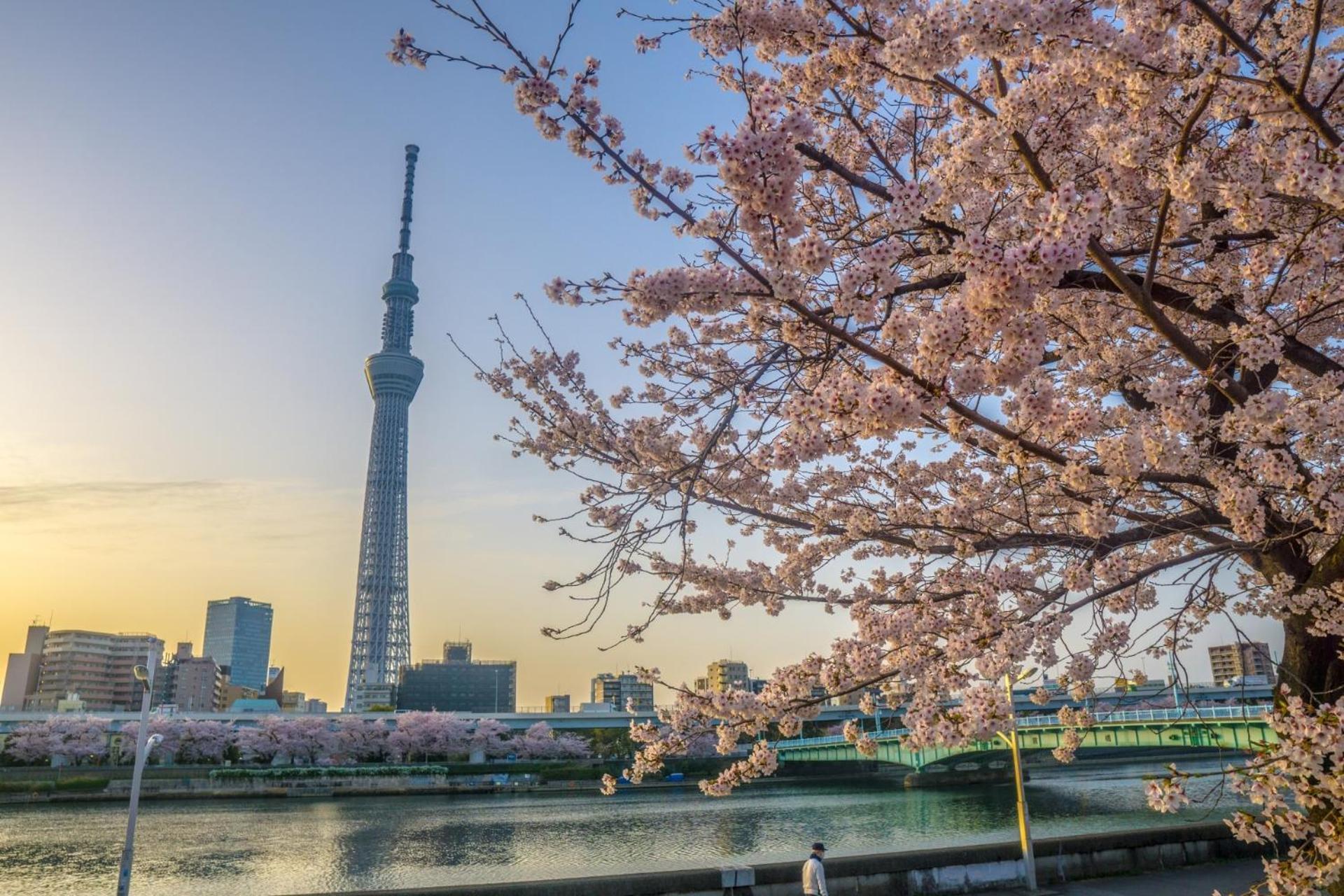 Stayme The Asakusa Riverside * โตเกียว