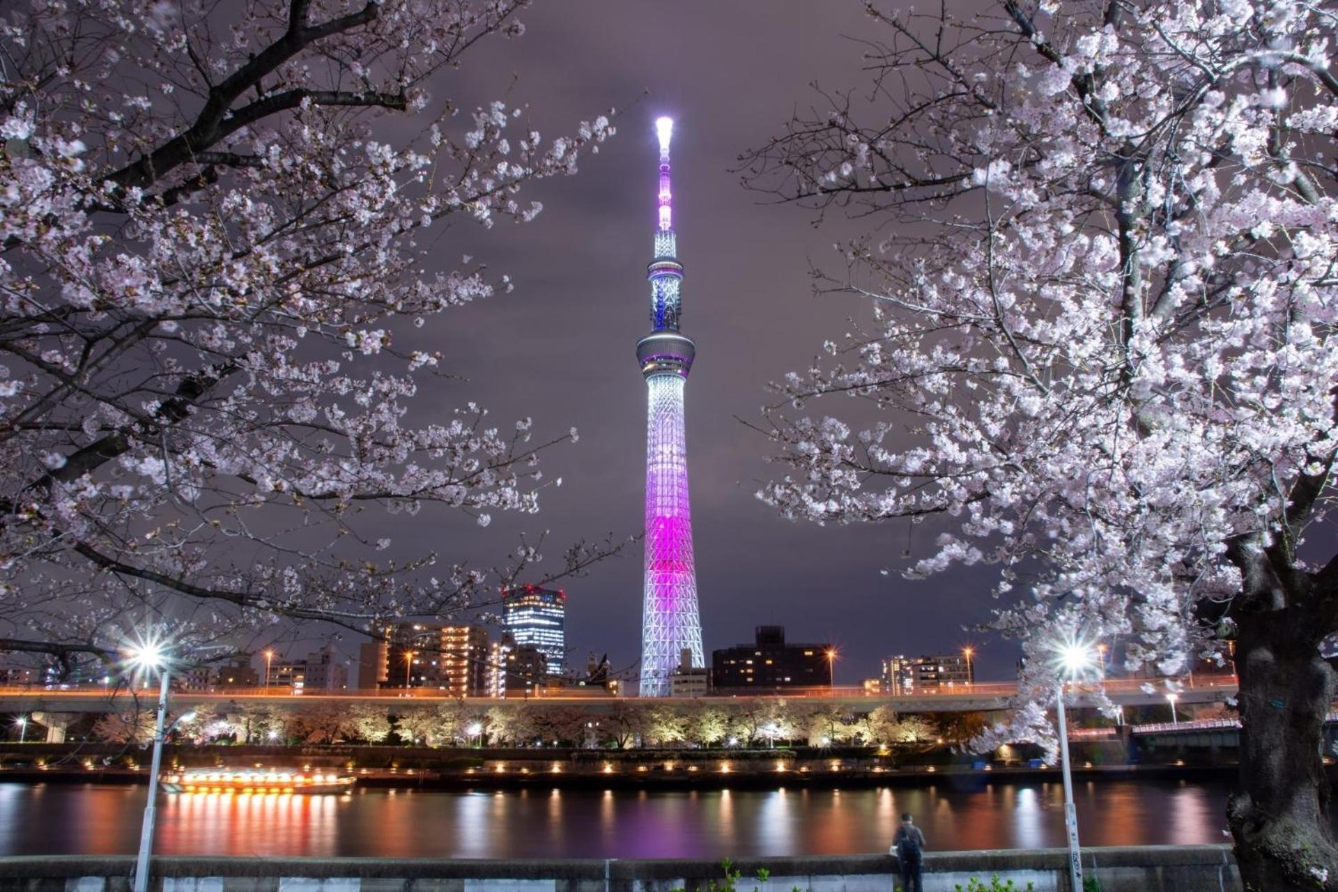Stayme The Asakusa Riverside อพาร์ตโฮเทล *